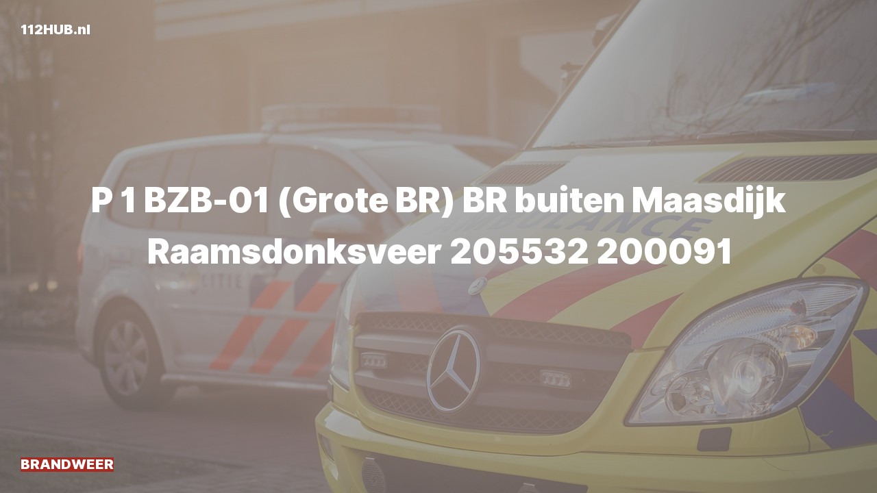 Deelafbeelding voor Brandweer met spoed naar de Maasdijk in Raamsdonksveer.