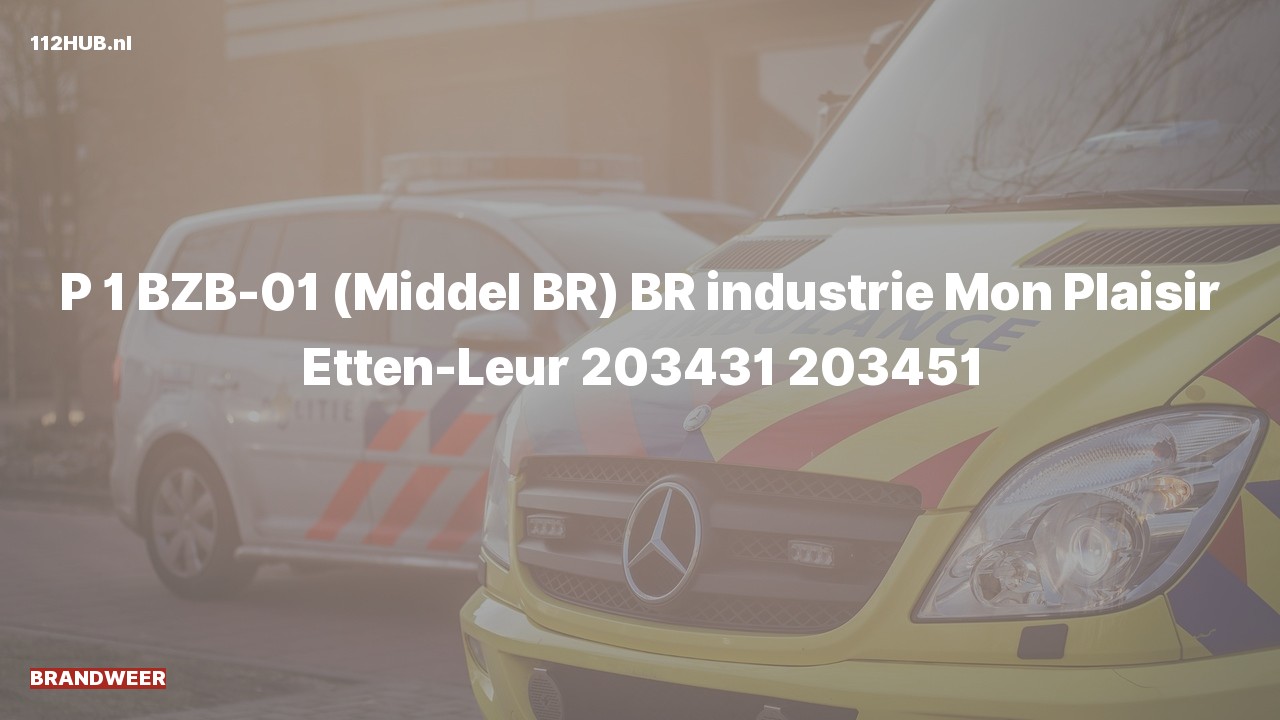Deelafbeelding voor Brandweer met spoed naar de Mon Plaisir in Etten-Leur.