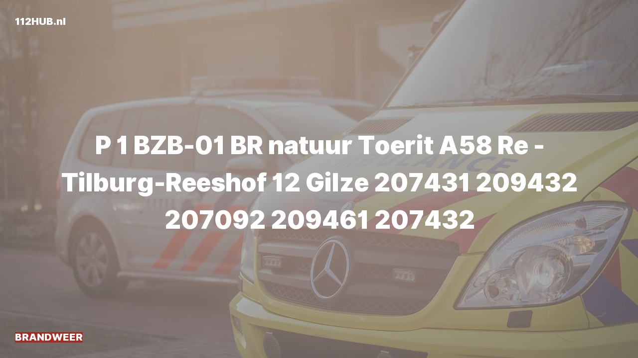Deelafbeelding voor Brandweer met spoed.