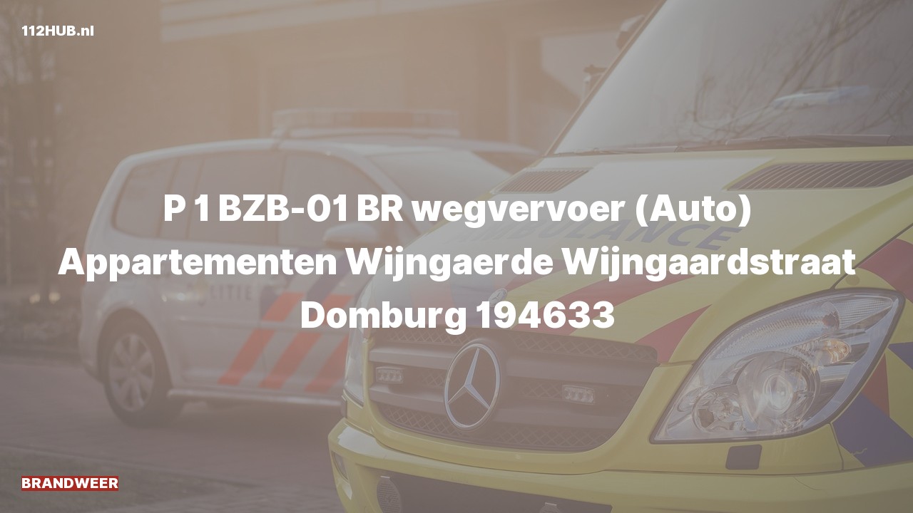Deelafbeelding voor Brandweer met spoed naar de Wijngaardstraat in Domburg.