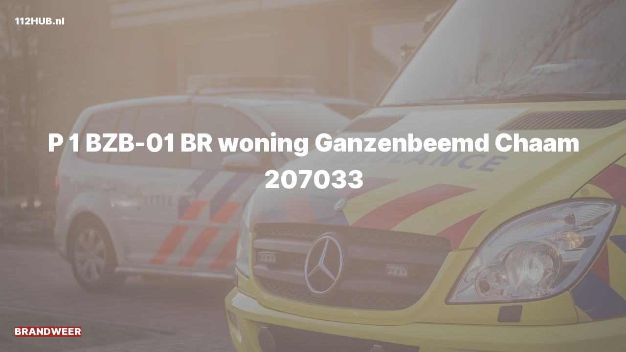 Deelafbeelding voor Brandweer met spoed voor brand in woning naar de Ganzenbeemd in Chaam.