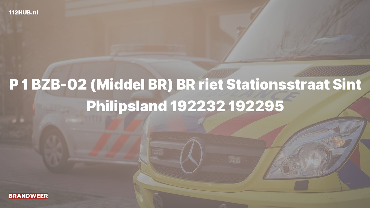 Deelafbeelding voor Brandweer met spoed naar de Stationsstraat in Sint Philipsland.
