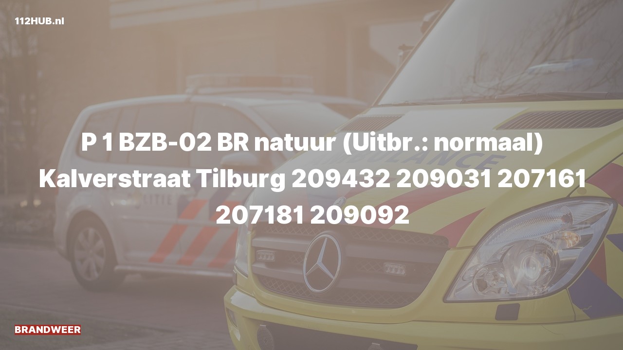 Deelafbeelding voor Brandweer met spoed naar de Kalverstraat in Tilburg.