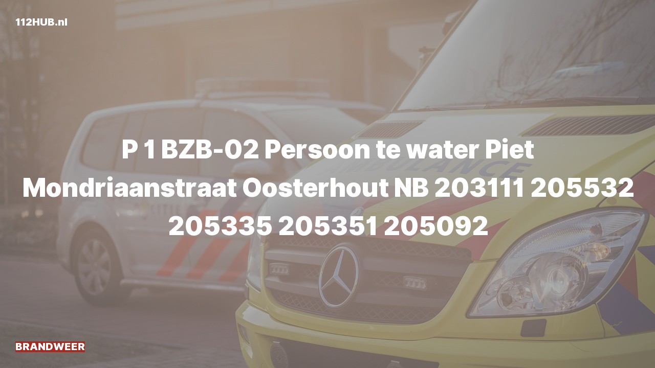 Deelafbeelding voor Brandweer met spoed naar de Piet Mondriaanstraat in Oosterhout.