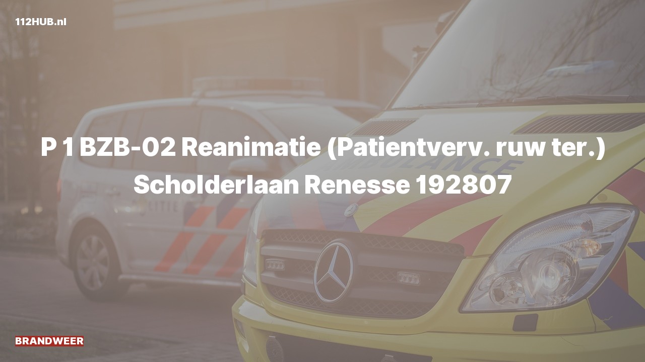 Deelafbeelding voor Brandweer met spoed naar de Scholderlaan in Renesse.