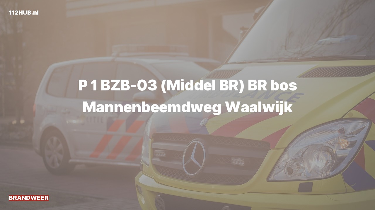Deelafbeelding voor Brandweer met spoed naar de Mannenbeemdweg in Waalwijk.