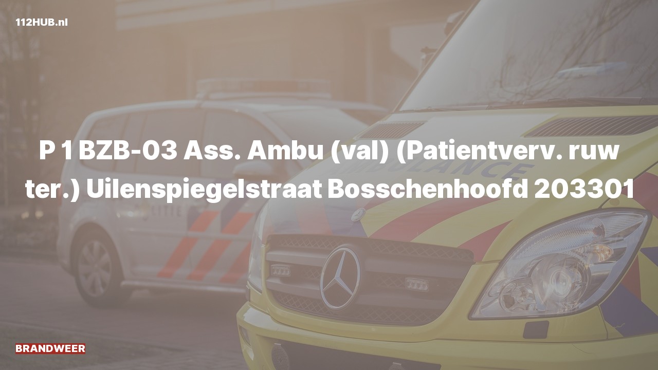 Deelafbeelding voor P2000-melding voor ambulance-assistentie.