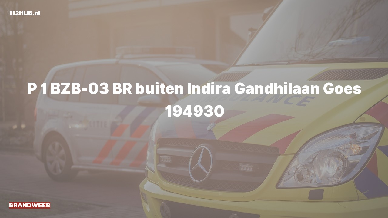 Deelafbeelding voor Brandweer met spoed naar de Indira Gandhilaan in Goes.