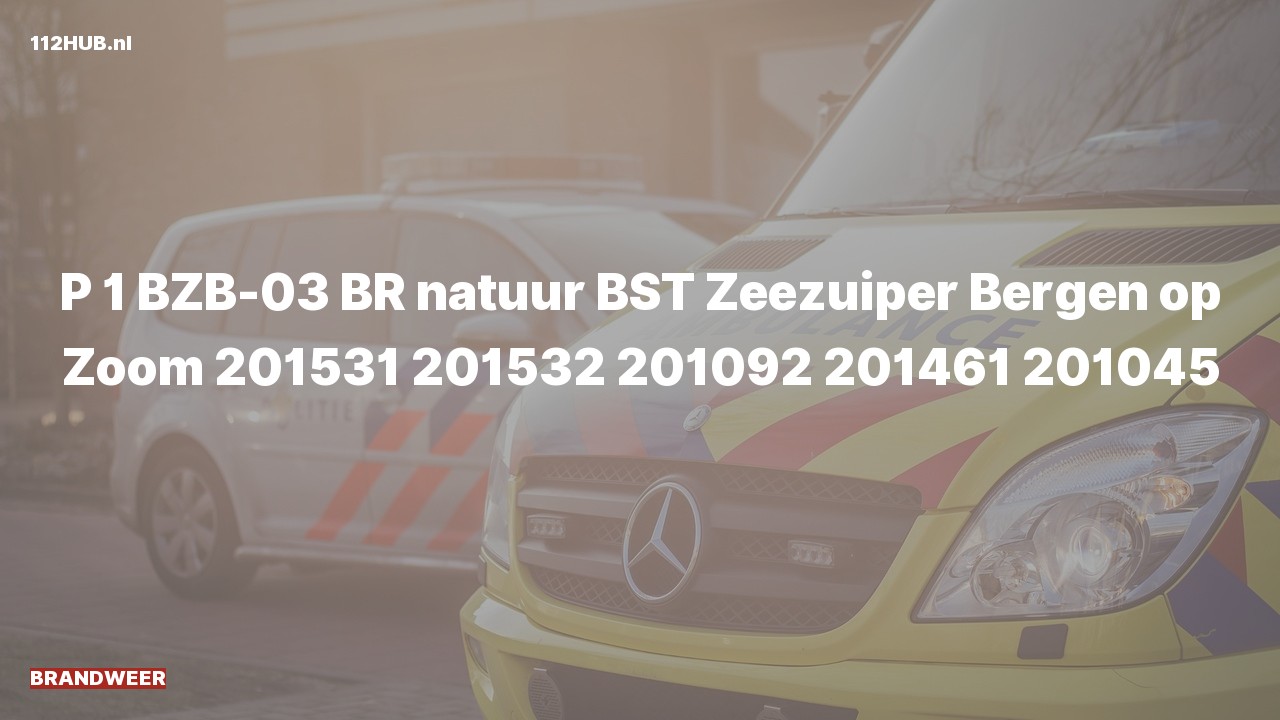 Deelafbeelding voor Brandweer met spoed.