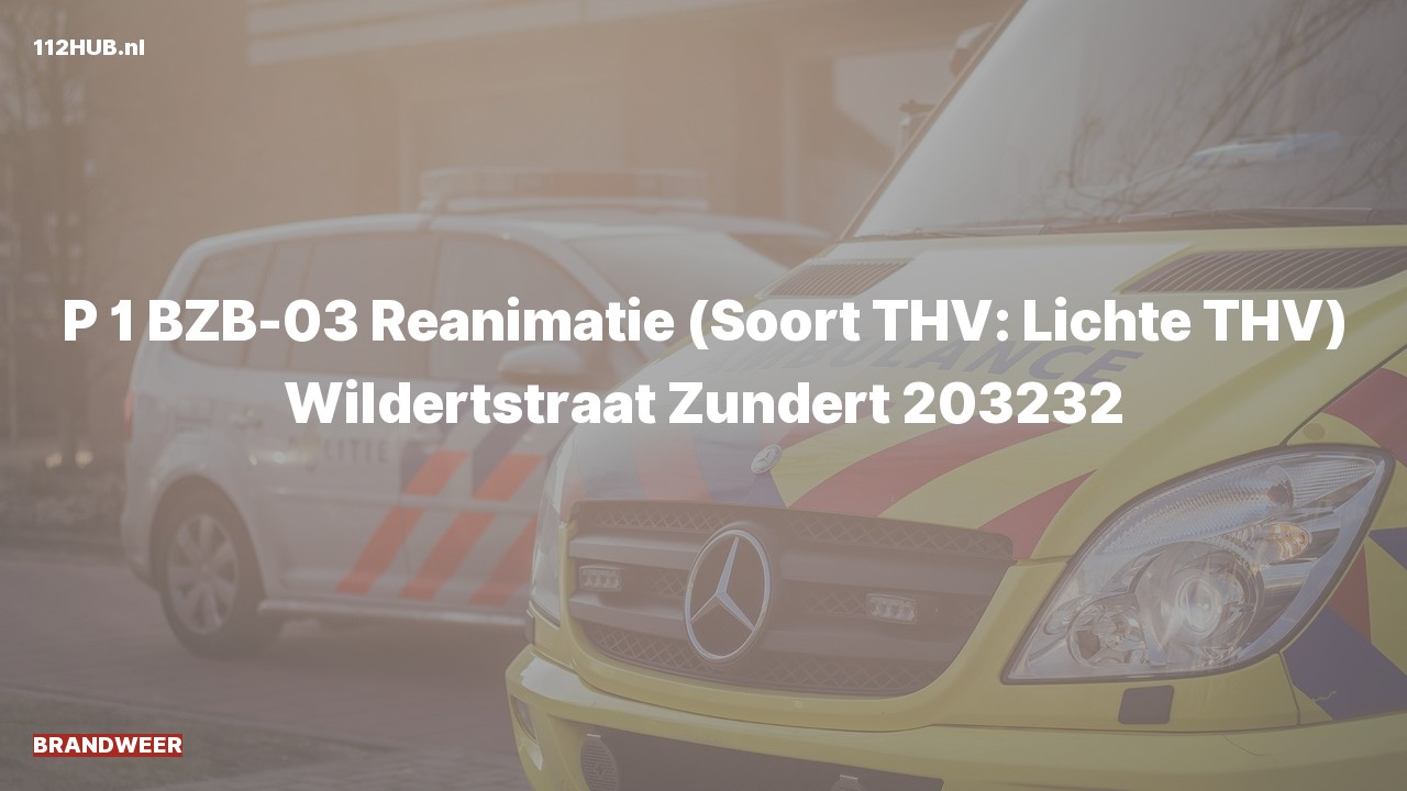 Deelafbeelding voor Brandweer met spoed naar de Wildertstraat in Zundert.