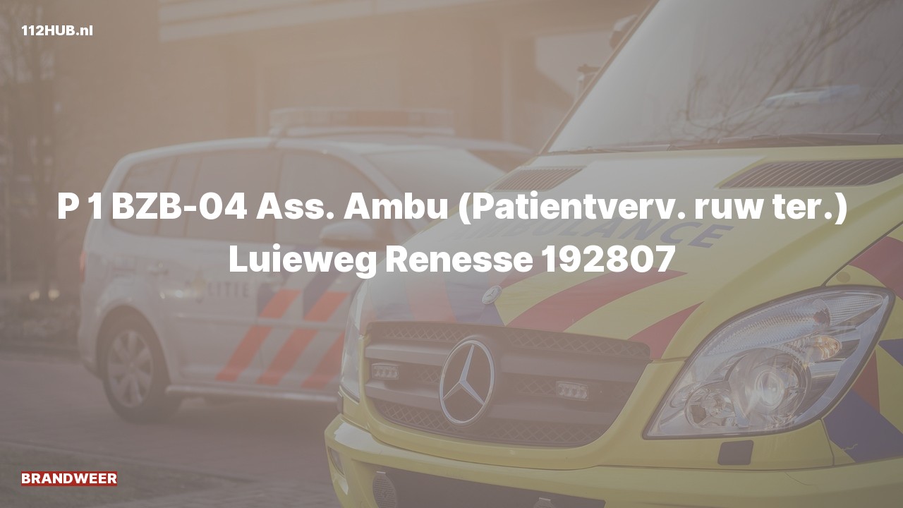 Deelafbeelding voor De brandweer is met spoed uitgerukt voor ambulance-assistentie naar de Luieweg in Renesse