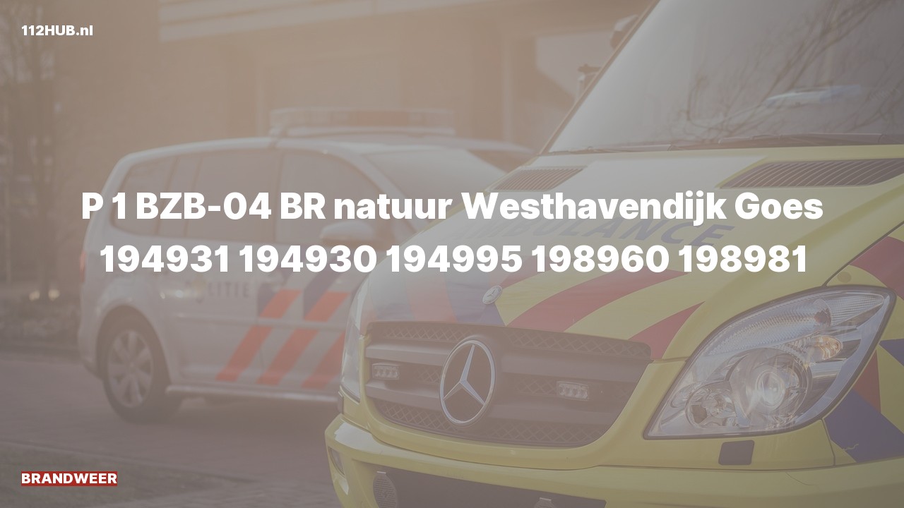 Deelafbeelding voor Brandweer met spoed naar de Westhavendijk in Goes.