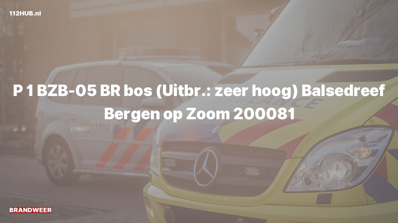 Deelafbeelding voor De brandweer is met spoed uitgerukt voor een brand naar de Balsedreef in Bergen op Zoom