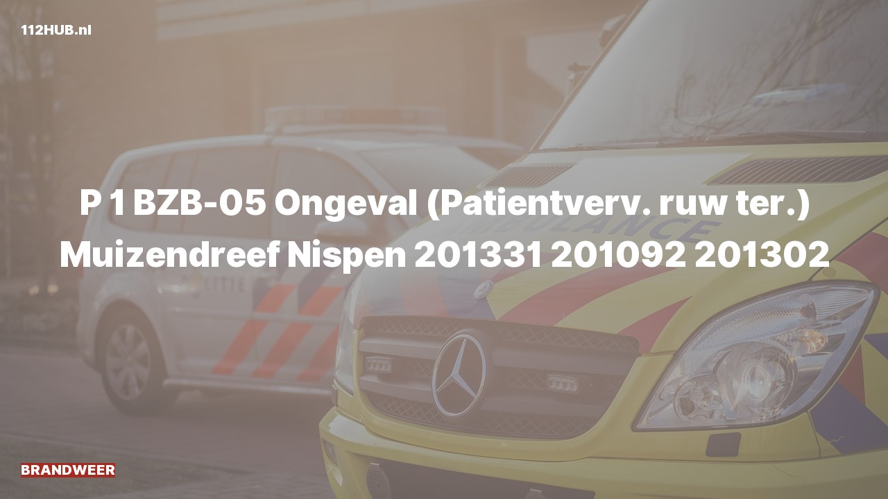 Deelafbeelding voor P2000-melding.