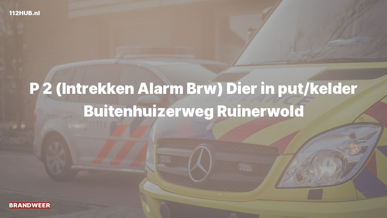 Deelafbeelding voor Hulpdienst trekt alarm in. Was: Dier in put/kelder Buitenhuizerweg Ruinerwold.