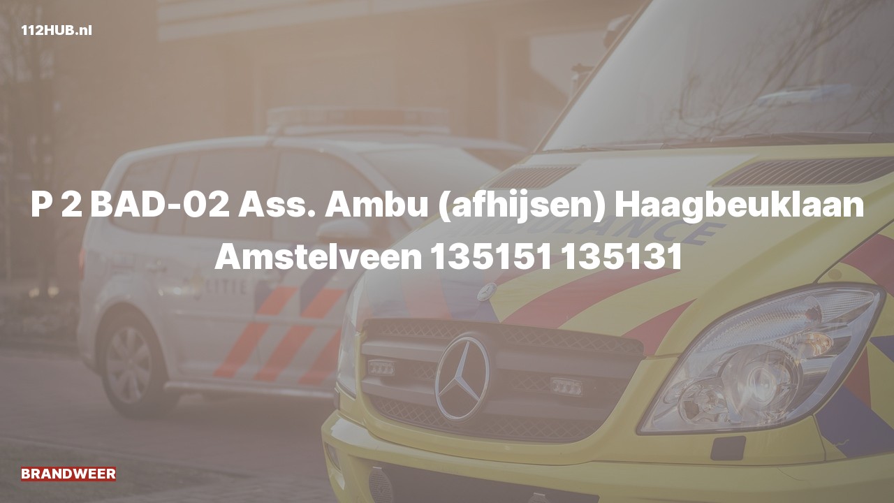 Deelafbeelding voor Brandweer met gepaste spoed voor afhijsen naar de Haagbeuklaan in Amstelveen.