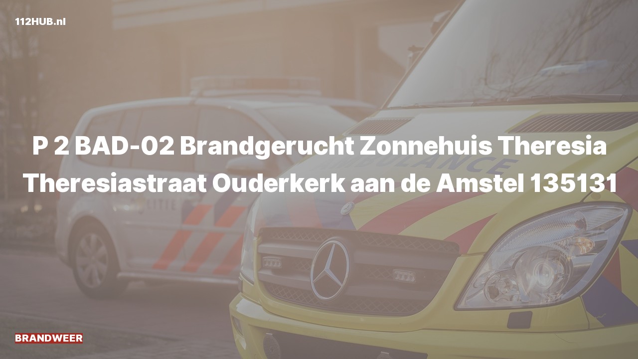 Deelafbeelding voor Brandweer met gepaste spoed voor brandgerucht naar de Theresiastraat in Ouderkerk aan de Amstel.