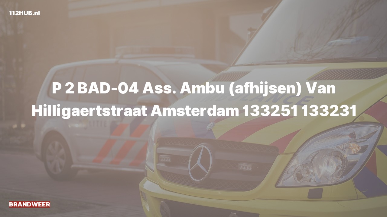 Deelafbeelding voor Brandweer met gepaste spoed voor afhijsen naar de Van Hilligaertstraat in Amsterdam.