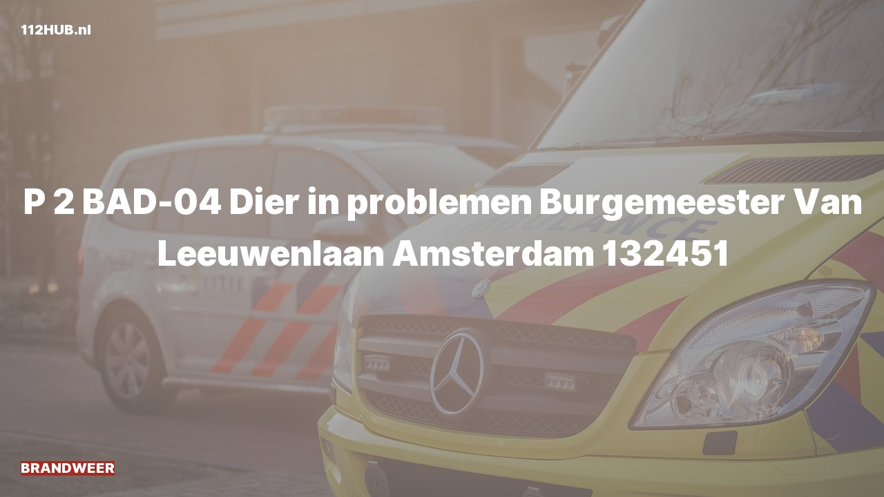 Deelafbeelding voor Brandweer met gepaste spoed naar de Burgemeester Van Leeuwenlaan in Amsterdam.