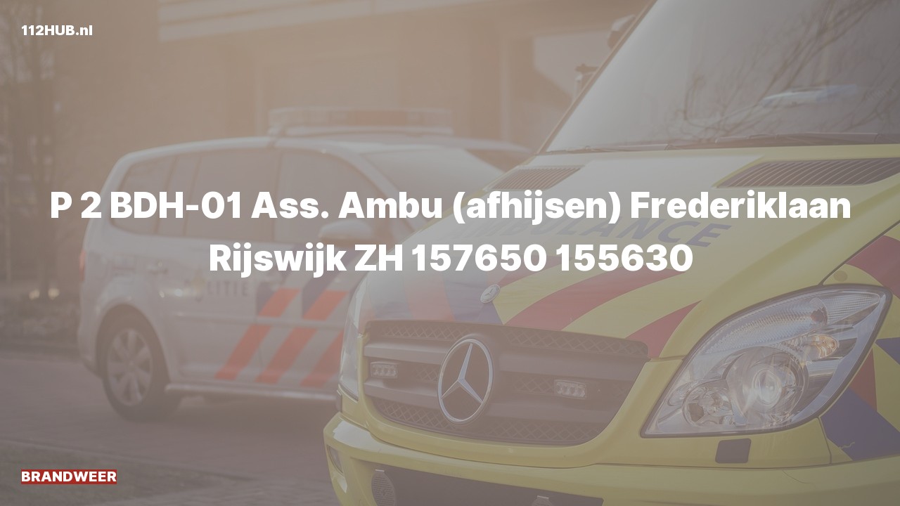 Deelafbeelding voor De brandweer is met gepaste spoed uitgerukt voor afhijsen naar de Frederiklaan in Rijswijk