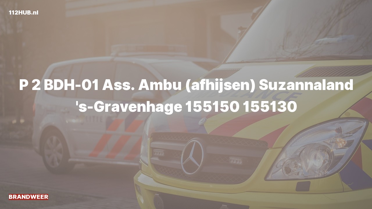 Deelafbeelding voor De brandweer is met gepaste spoed uitgerukt voor afhijsen naar de Suzannaland in 's-Gravenhage