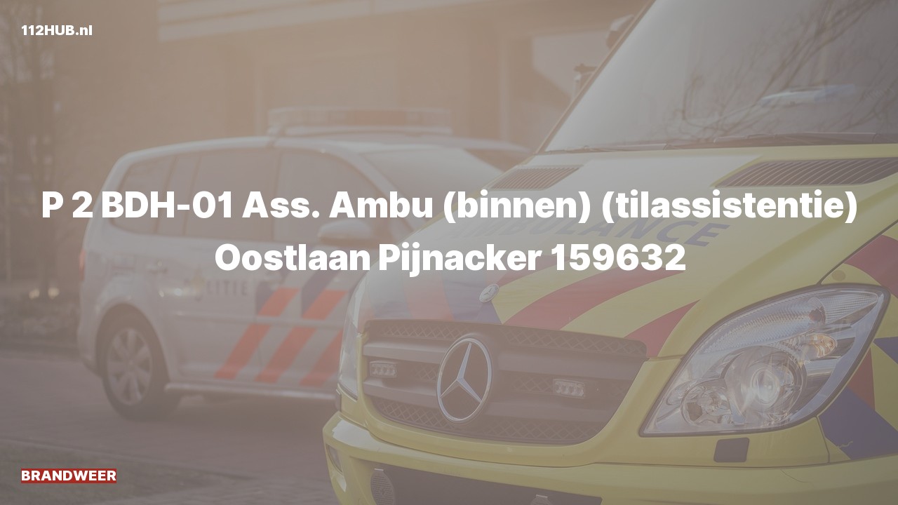 Deelafbeelding voor De brandweer is met gepaste spoed uitgerukt voor ambulance-assistentie naar de Oostlaan in Pijnacker