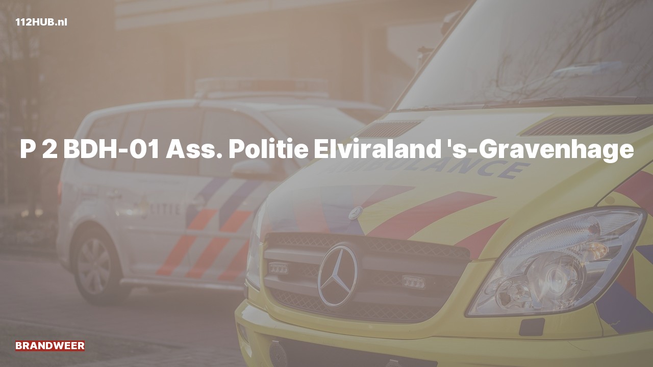 Deelafbeelding voor Brandweer met gepaste spoed naar de Elviraland in 's-Gravenhage.