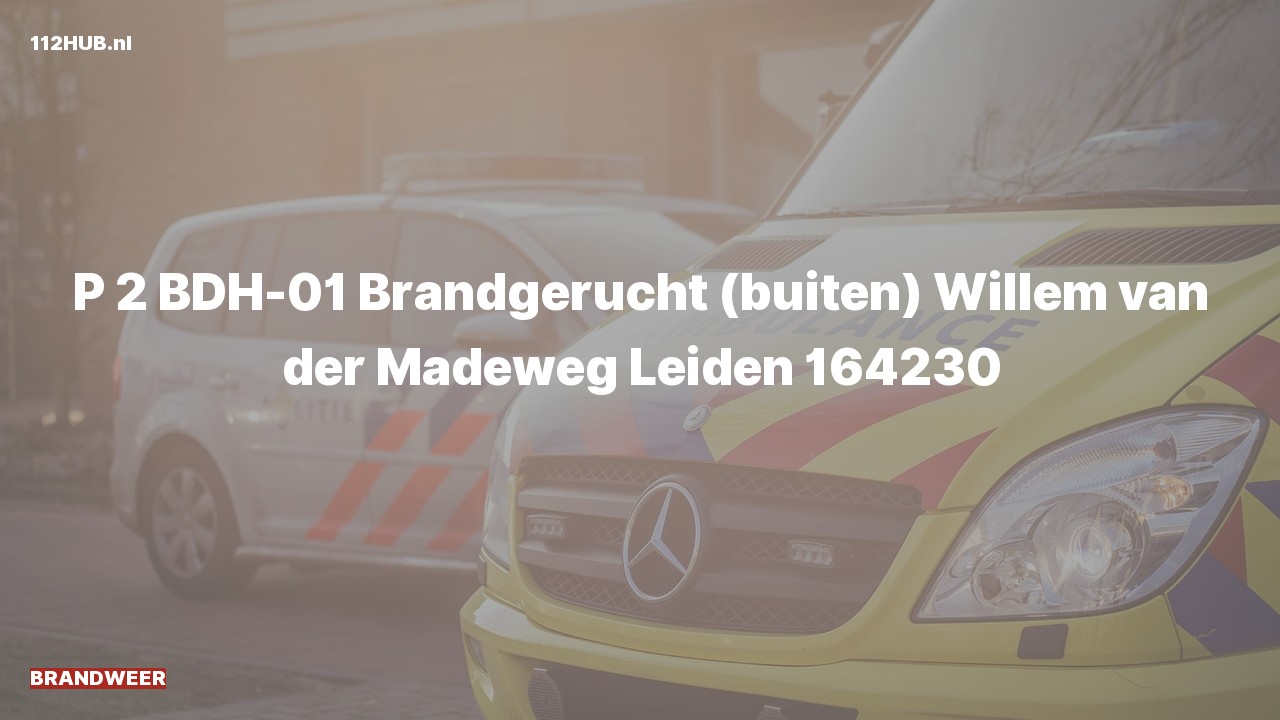 Deelafbeelding voor Brandweer met gepaste spoed voor brandgerucht naar de Willem van der Madeweg in Leiden.