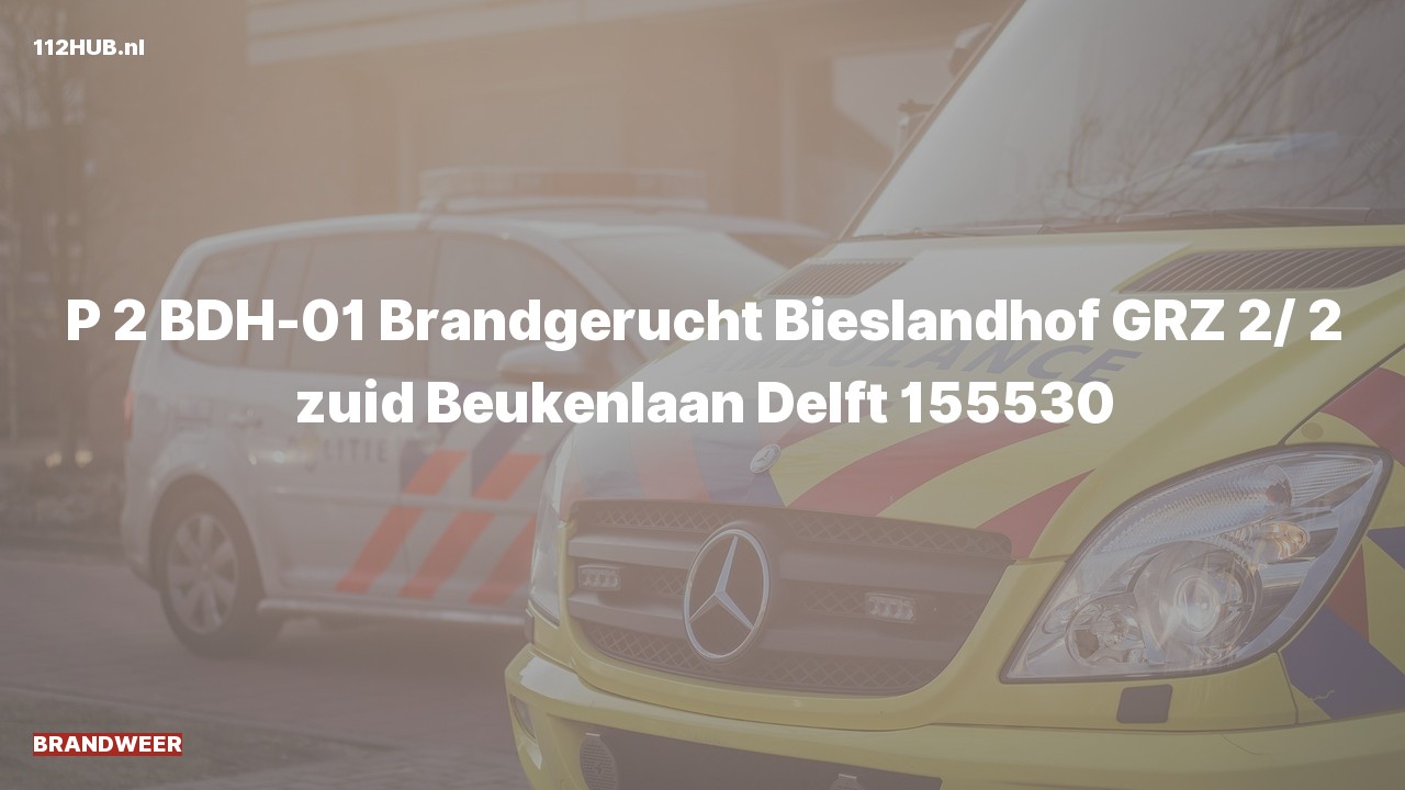 Deelafbeelding voor De brandweer is met gepaste spoed uitgerukt voor een brandgerucht naar de Beukenlaan in Delft