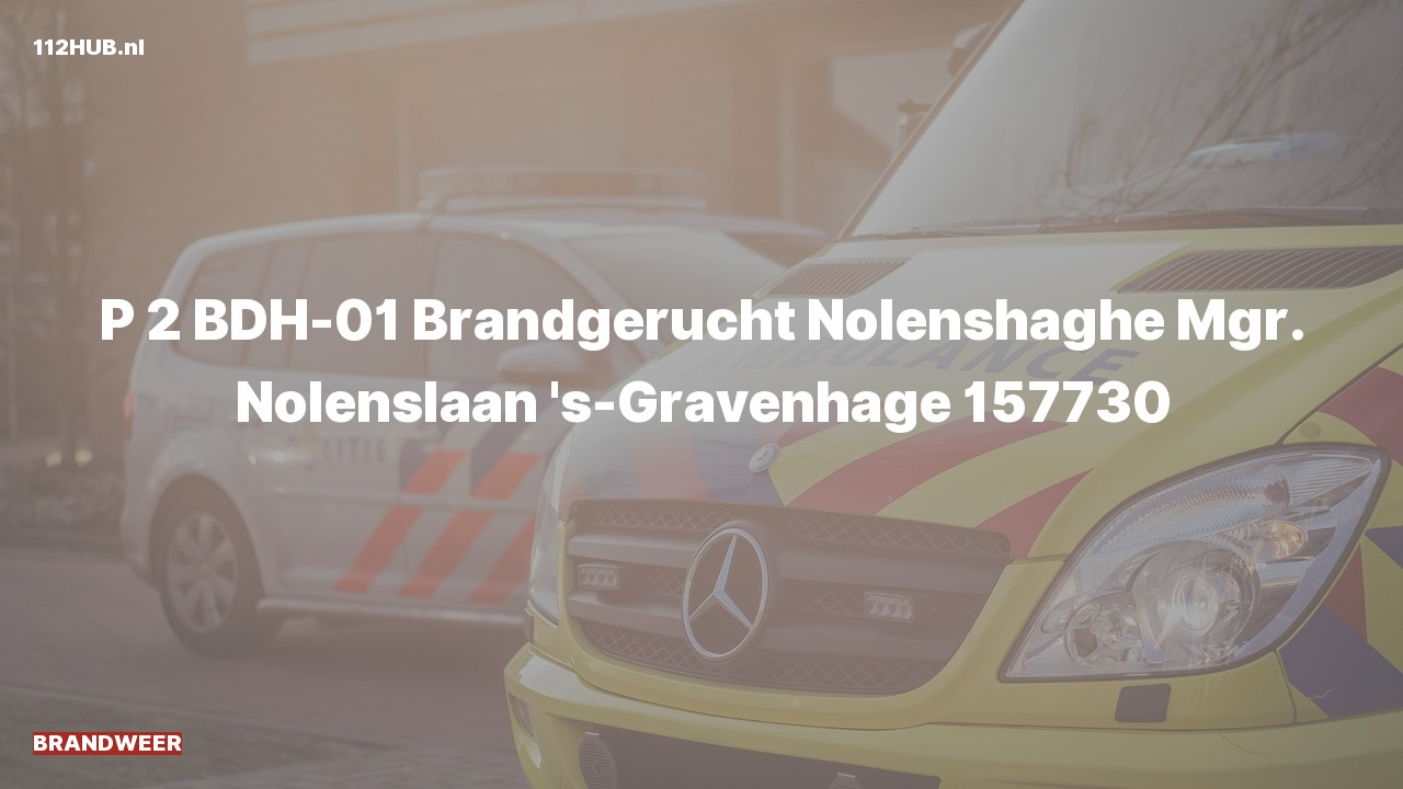 Deelafbeelding voor Brandweer met gepaste spoed voor brandgerucht naar de Mgr. Nolenslaan in 's-Gravenhage.