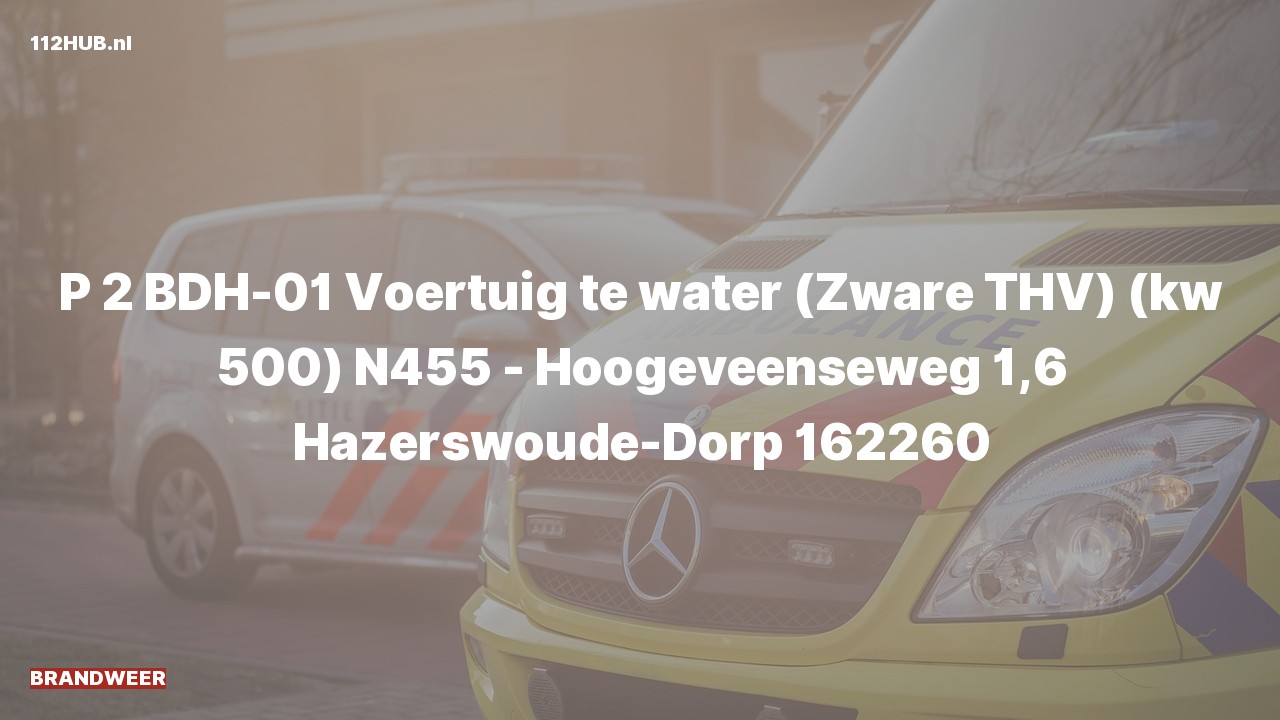 Deelafbeelding voor De brandweer is met gepaste spoed uitgerukt voor een persoon te water op de N455 bij hectometerpaaltje 1.6