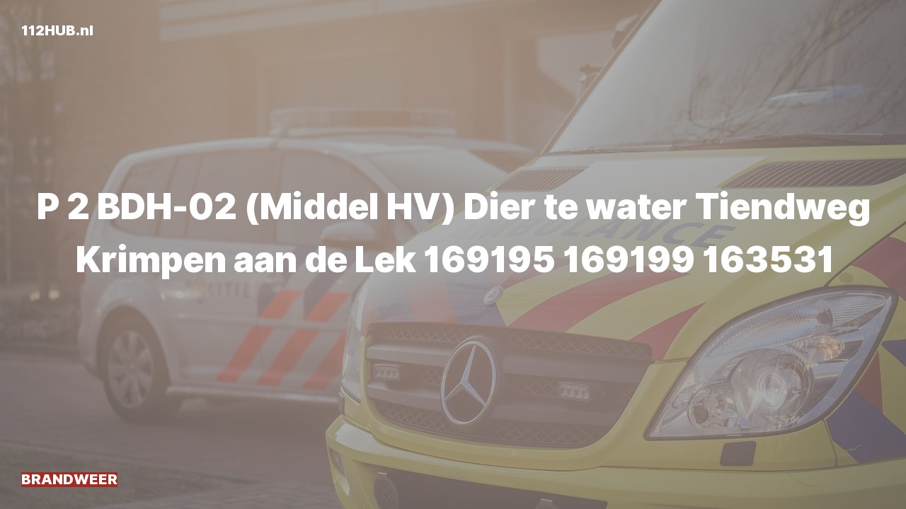 Deelafbeelding voor Brandweer met gepaste spoed naar de Tiendweg in Krimpen aan de Lek.