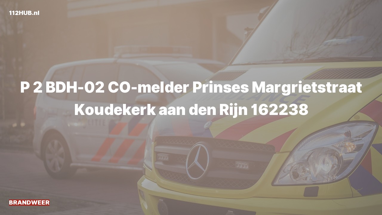 Deelafbeelding voor Brandweer met gepaste spoed voor CO-melder naar de Prinses Margrietstraat in Koudekerk aan den Rijn.