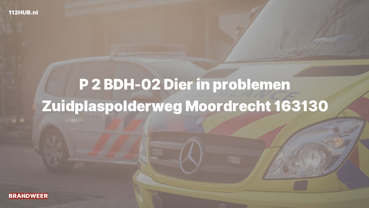 Deelafbeelding voor Brandweer met gepaste spoed naar de Zuidplaspolderweg in Moordrecht.
