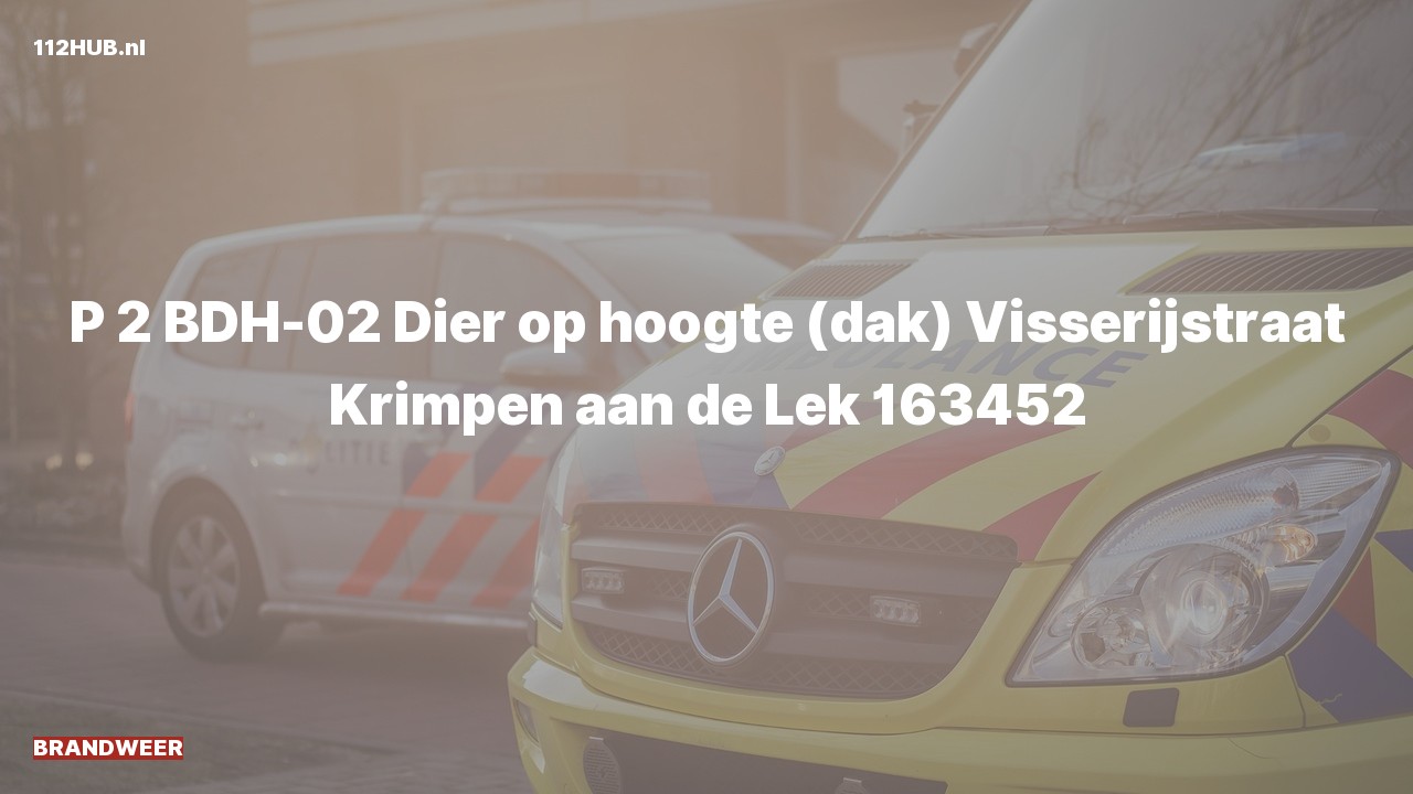 Deelafbeelding voor Brandweer met gepaste spoed naar de Visserijstraat in Krimpen aan de Lek.