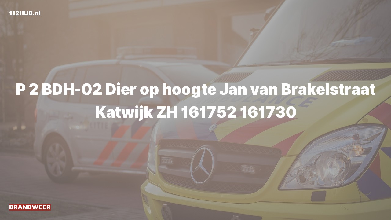 Deelafbeelding voor Brandweer met gepaste spoed naar de Jan van Brakelstraat in Katwijk.