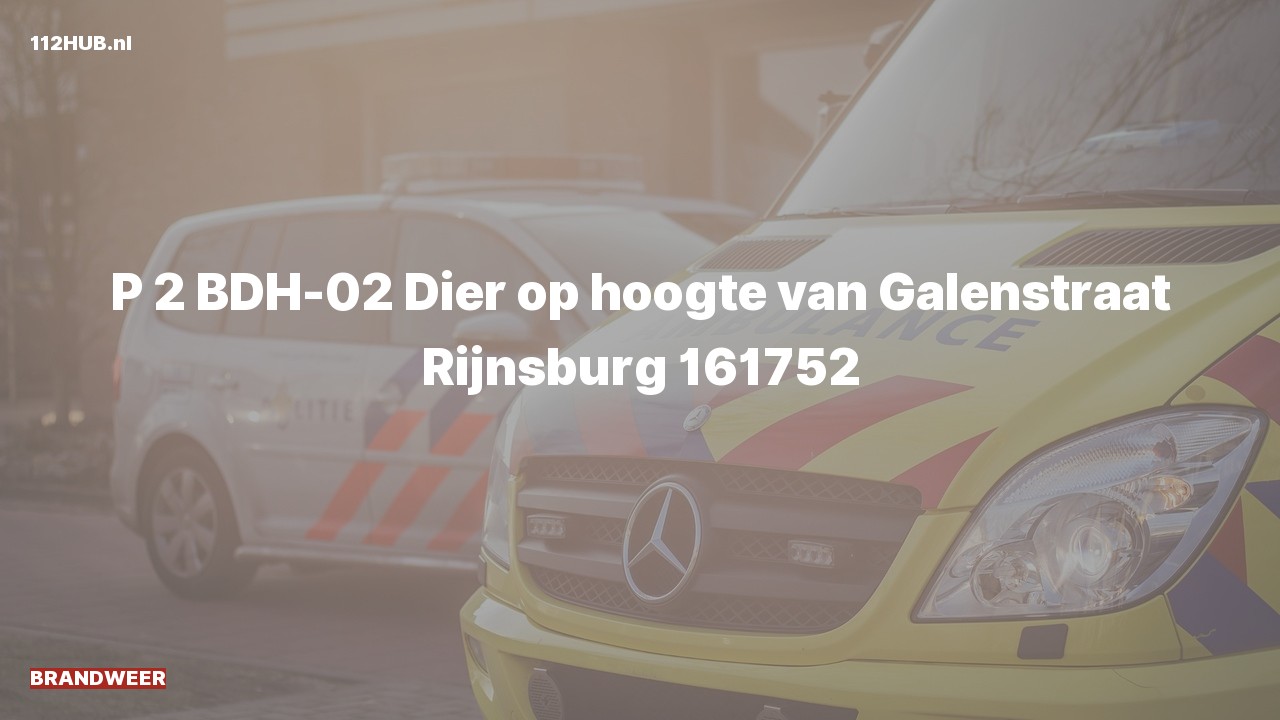 Deelafbeelding voor Brandweer met gepaste spoed naar de van Galenstraat in Rijnsburg.