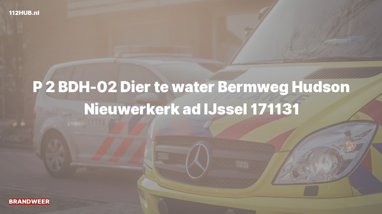 Deelafbeelding voor Brandweer met gepaste spoed.