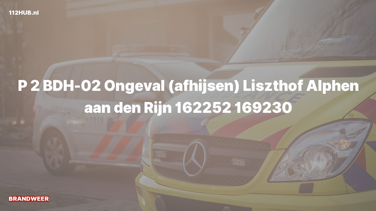 Deelafbeelding voor Brandweer met gepaste spoed voor afhijsen naar de Liszthof in Alphen aan den Rijn.