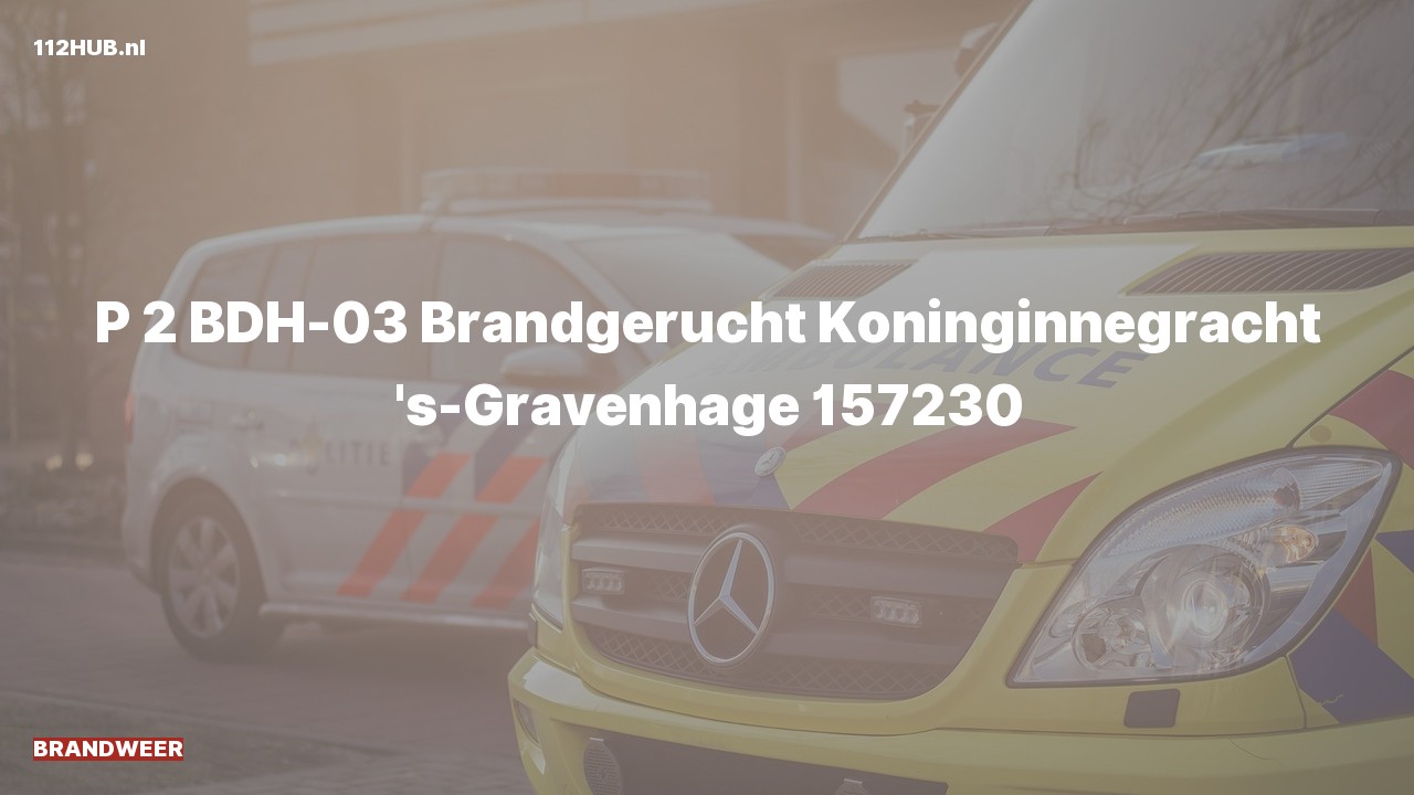 Deelafbeelding voor Brandweer met gepaste spoed voor brandgerucht naar de Koninginnegracht in 's-Gravenhage.