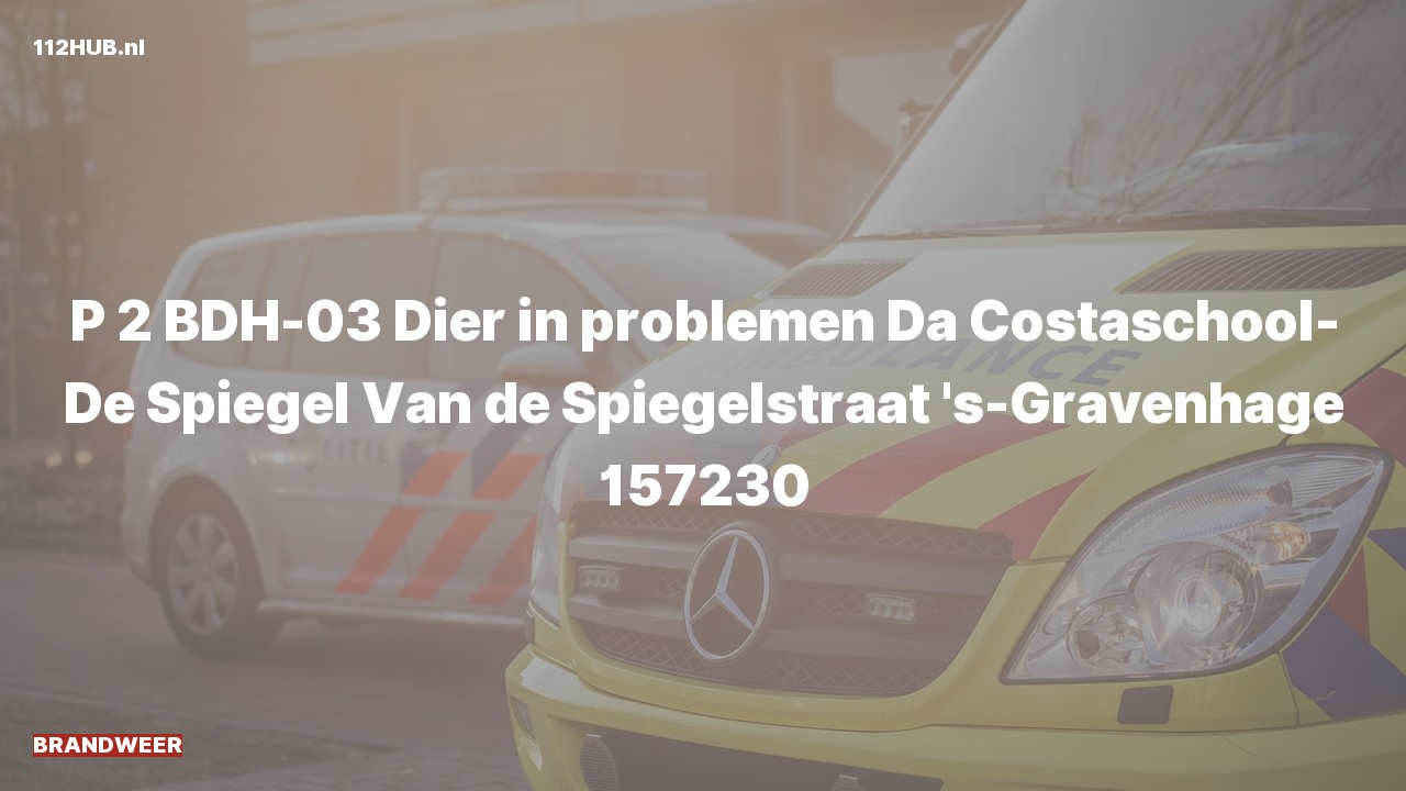 Deelafbeelding voor Brandweer met gepaste spoed naar de Van de Spiegelstraat in 's-Gravenhage.