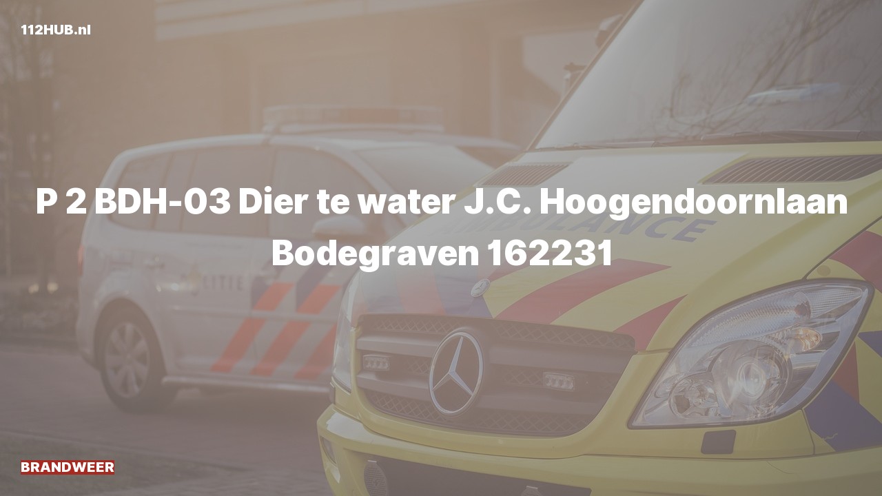 Deelafbeelding voor Brandweer met gepaste spoed naar de J.C. Hoogendoornlaan in Bodegraven.