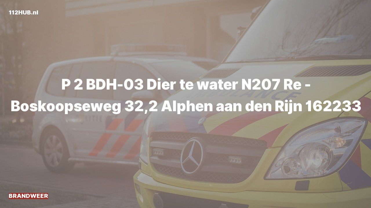 Deelafbeelding voor Brandweer met gepaste spoed op de N207 bij hectometerpaaltje 32.2.