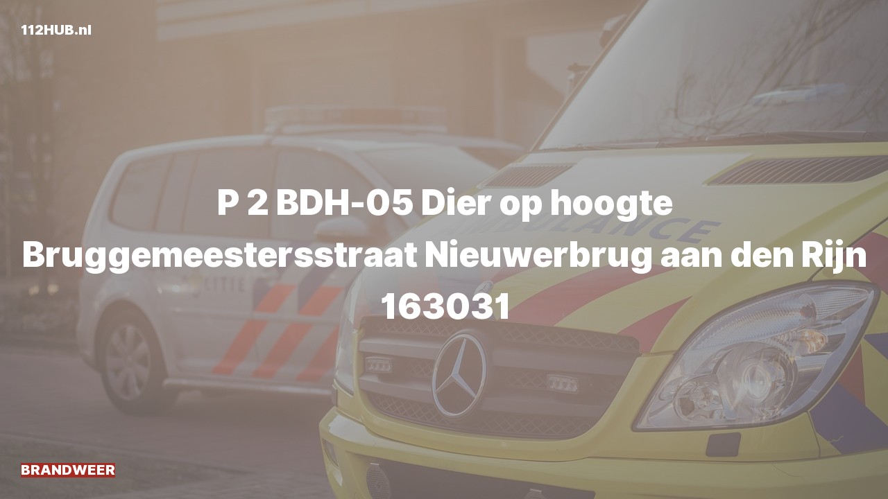 Deelafbeelding voor De brandweer is met gepaste spoed uitgerukt naar de Bruggemeestersstraat in Nieuwerbrug aan den Rijn