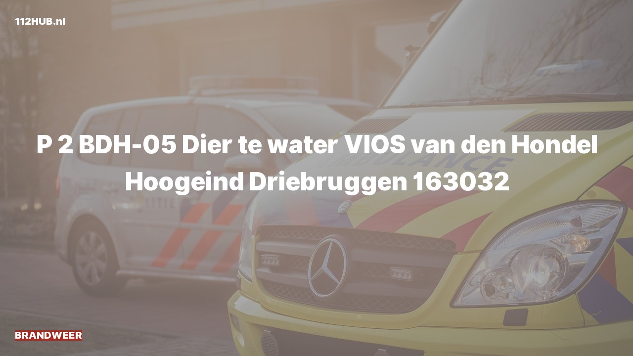 Deelafbeelding voor Brandweer met gepaste spoed naar de Hoogeind in Driebruggen.