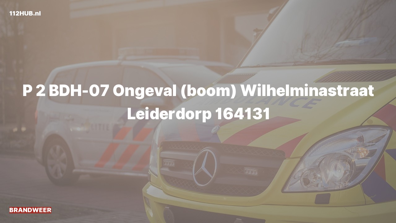 Deelafbeelding voor Brandweer met gepaste spoed naar de Wilhelminastraat in Leiderdorp.