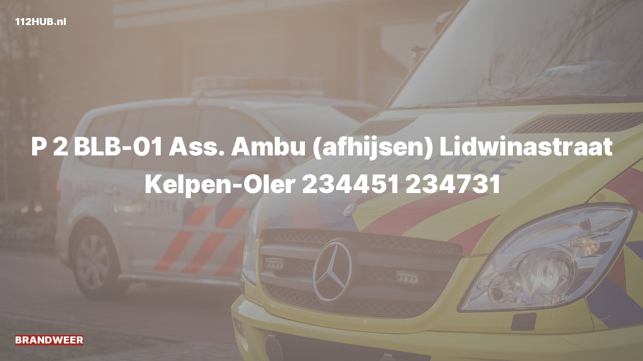 Deelafbeelding voor P2000-melding voor afhijsen.