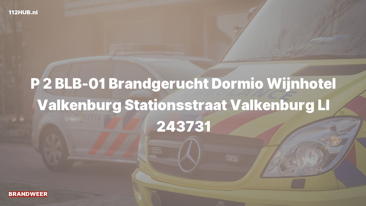 Deelafbeelding voor Brandweer met gepaste spoed voor brandgerucht naar de Stationsstraat in Valkenburg.