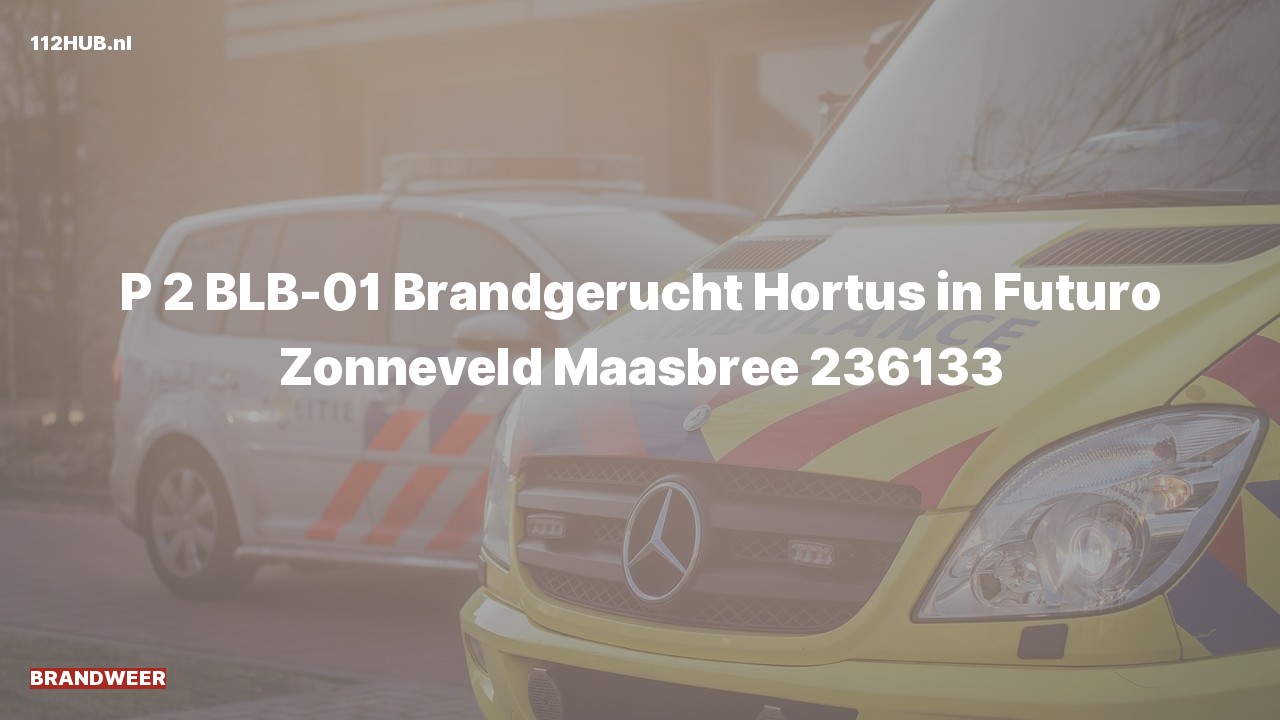 Deelafbeelding voor Brandweer met gepaste spoed voor brandgerucht naar de Zonneveld in Maasbree.