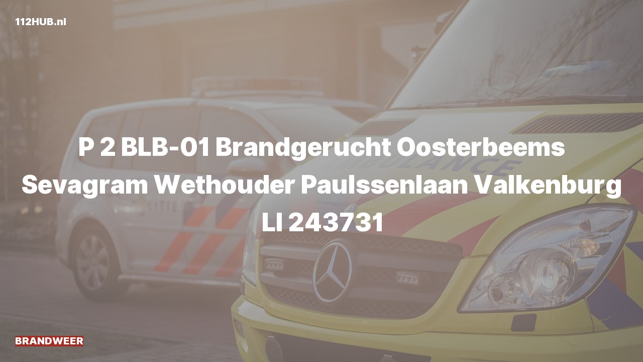 Deelafbeelding voor De brandweer is met gepaste spoed uitgerukt voor een brandgerucht